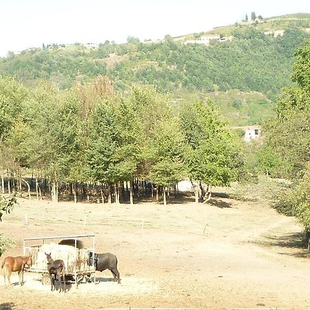Il Grappolo In Langa Villa Monastero Bormida Екстериор снимка
